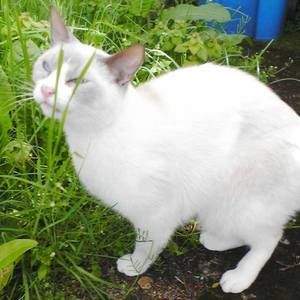 Meet your Posher, Bethany